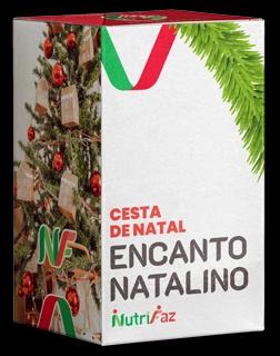 Representação da Cesta de Natal Encanto Natalino