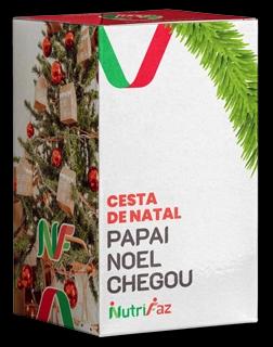 Representação da Cesta de Natal Papai Noel Chegou